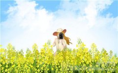 错过的感情还能挽回吗