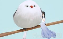 挽回过程中暴露了需求感怎么办